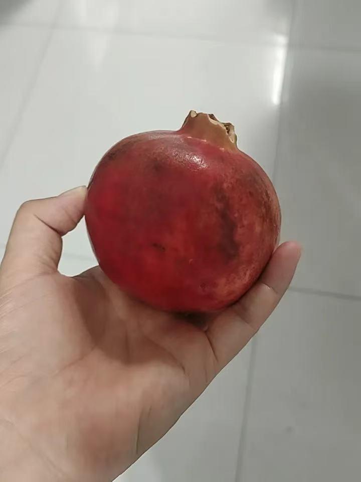 太窒息了！签完离婚协议当晚，她被丈夫整整折磨了一夜

有网友分享自己的真实经历，