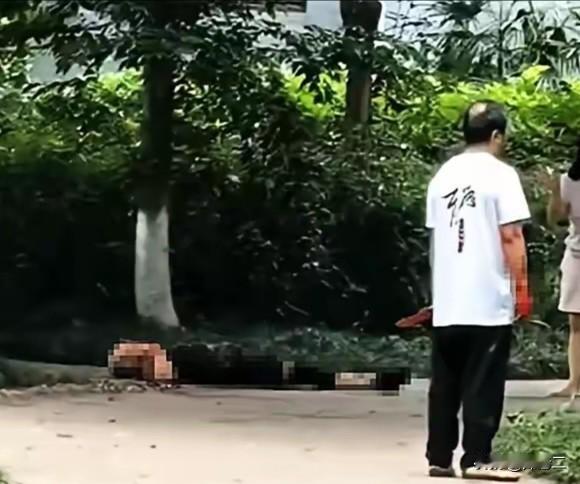 重庆理工的汪副教授，犯案后没有逃跑，在现场侃侃而谈，向围观者陈诉自己动手的理由，