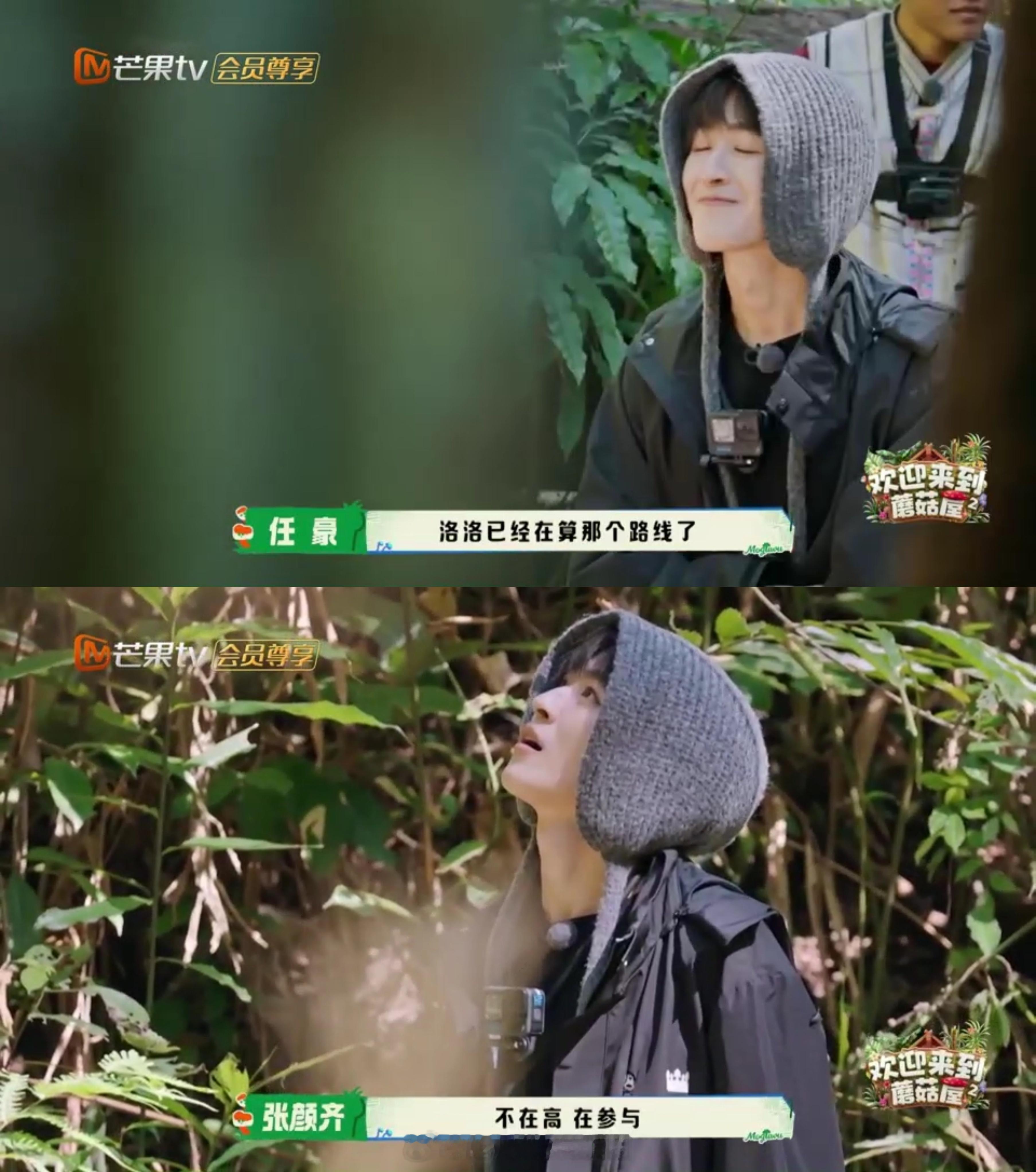 何洛洛为了R1SE克服恐高 又心疼又好笑的程度！恐高星人被迫营业上树，这份对R1