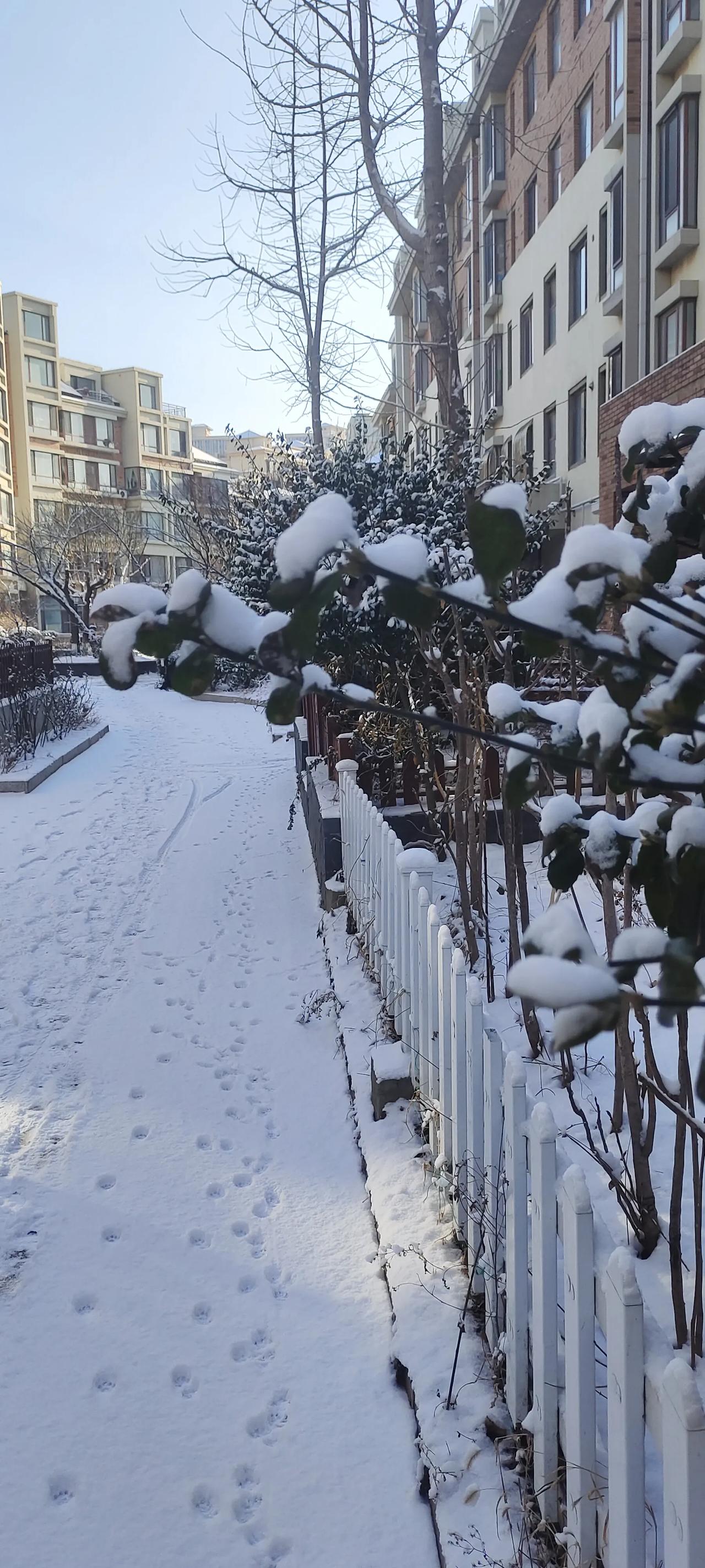 春看桃花秋看叶，
冬迎瑞雪夏迎风。