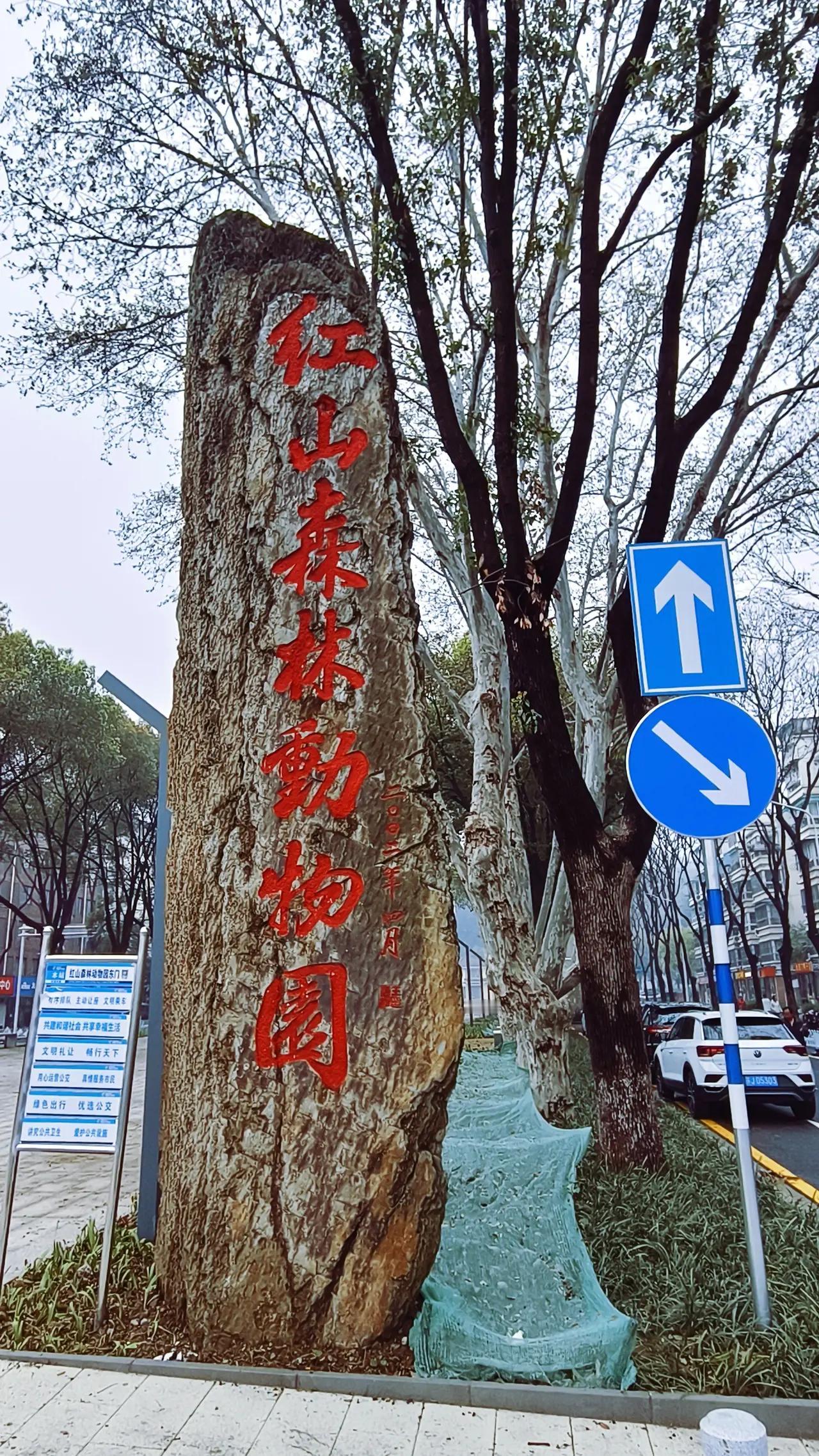 跟你说不管开、不管开，你偏要开！那就看一眼这个蓝牌牌吧，能否找到停车位就全凭你的