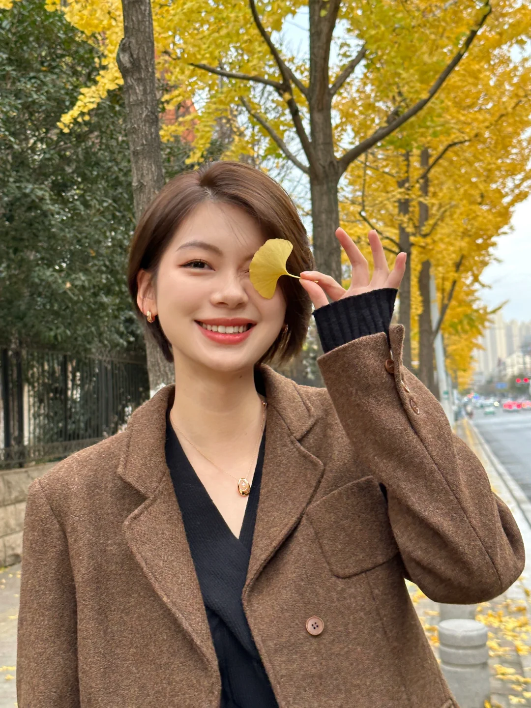 合肥 | 有点小众的金黄色银杏道📸