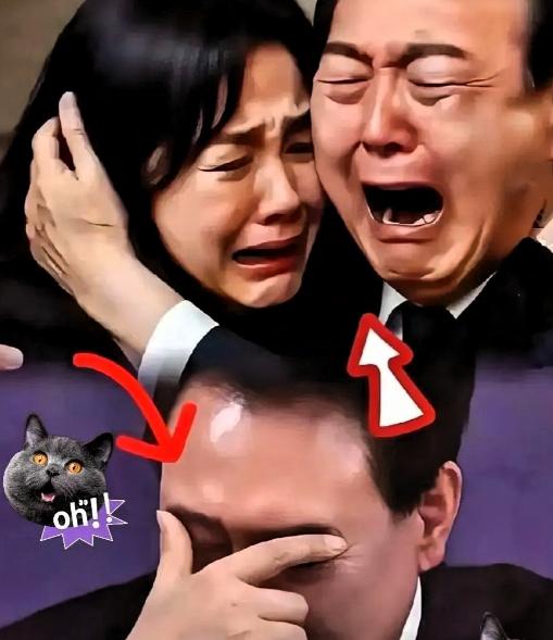 韩国传来消息！当地时间 10 月 29 日，韩国首尔高等法院开庭审理尹锡悦涉嫌内