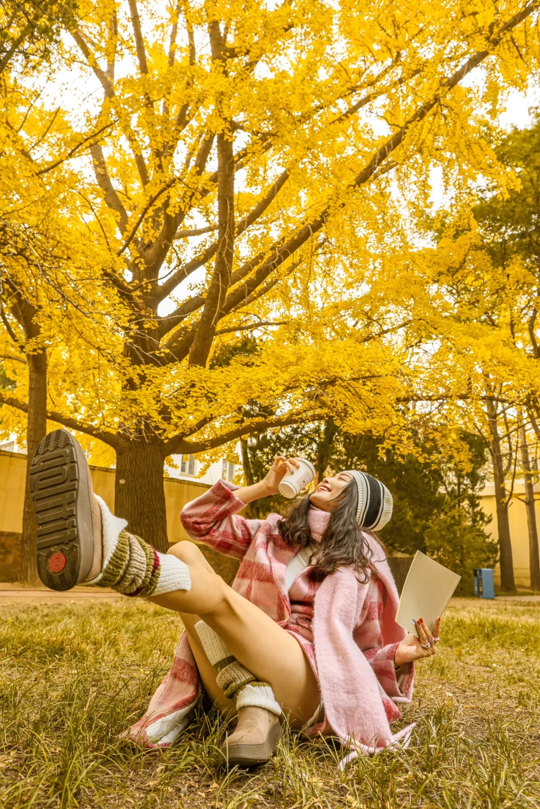 记住青岛这❾个赏银杏机位！鲨疯了！🍂