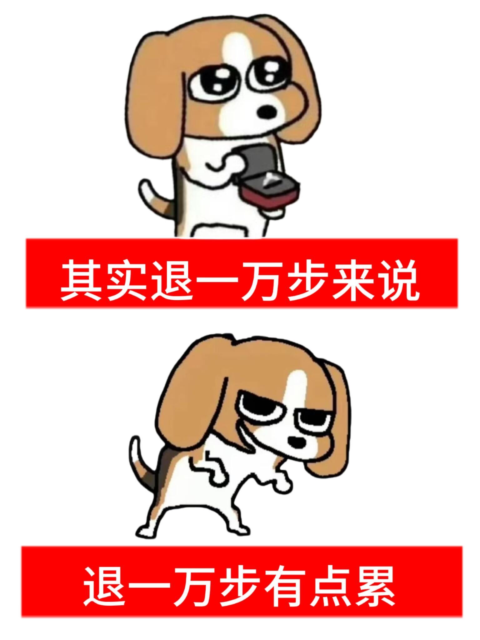 邪恶小比多栋梗图梗图[超话] ​​​