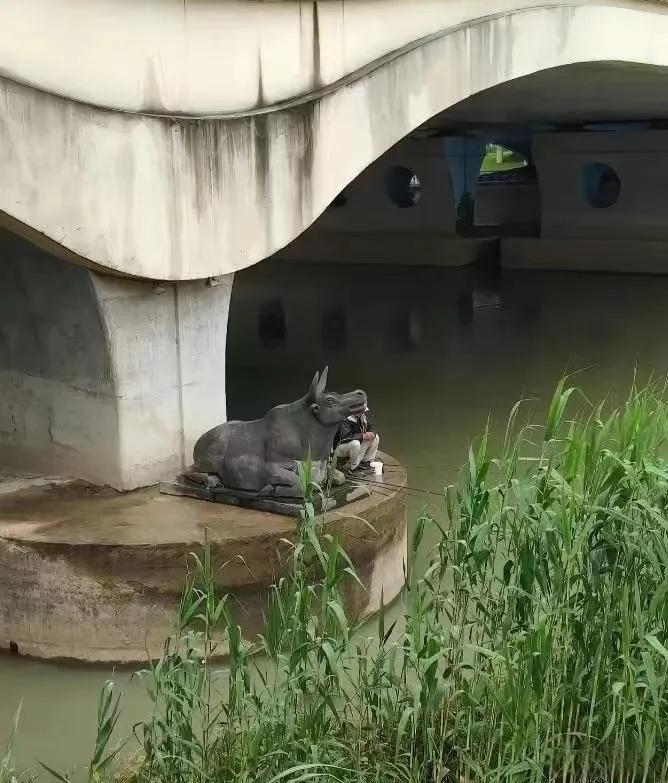 这钓点绝了！他究竟是怎么过去的？难道会轻功水上漂吗？