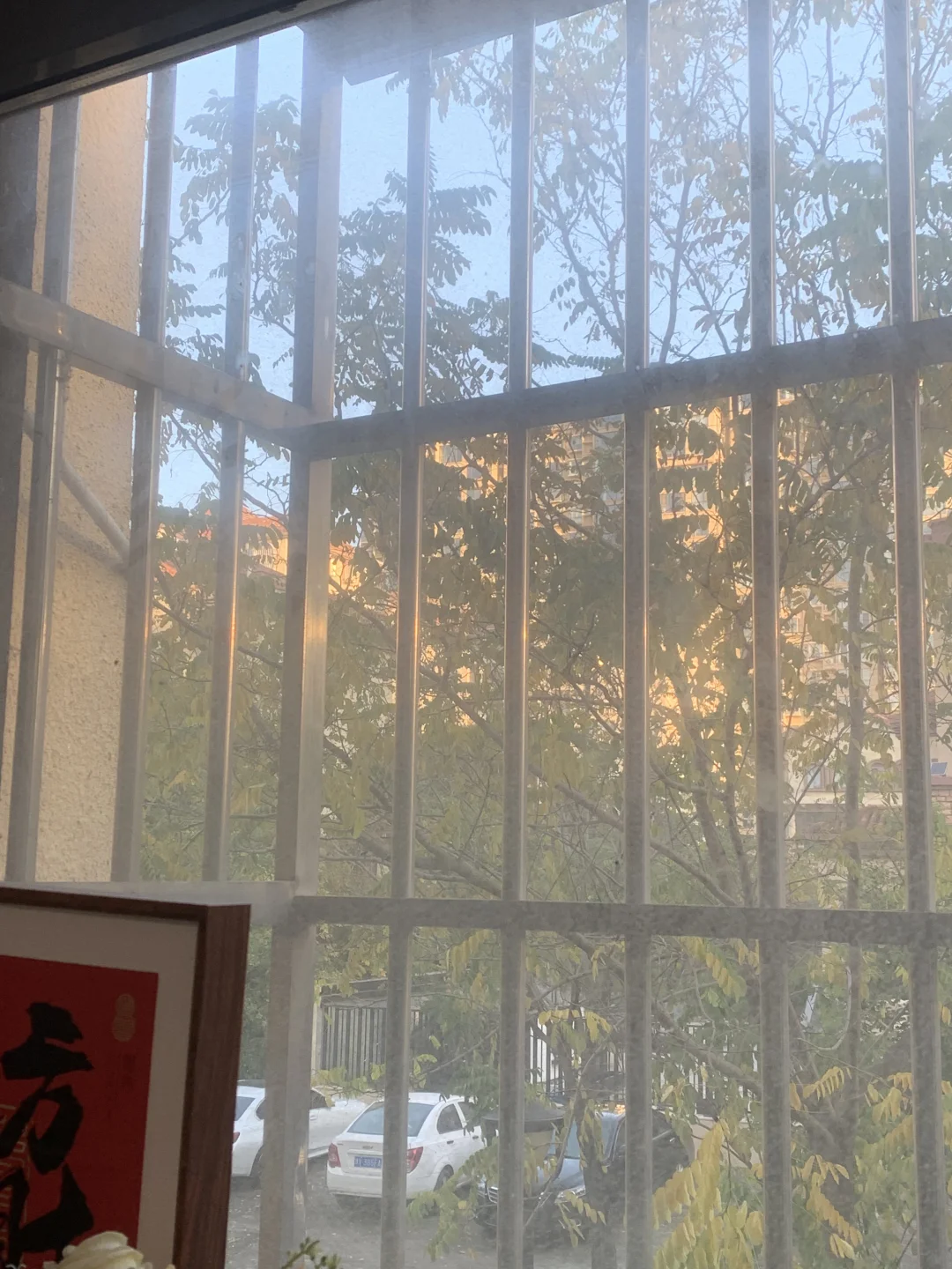 今天天气真不错~