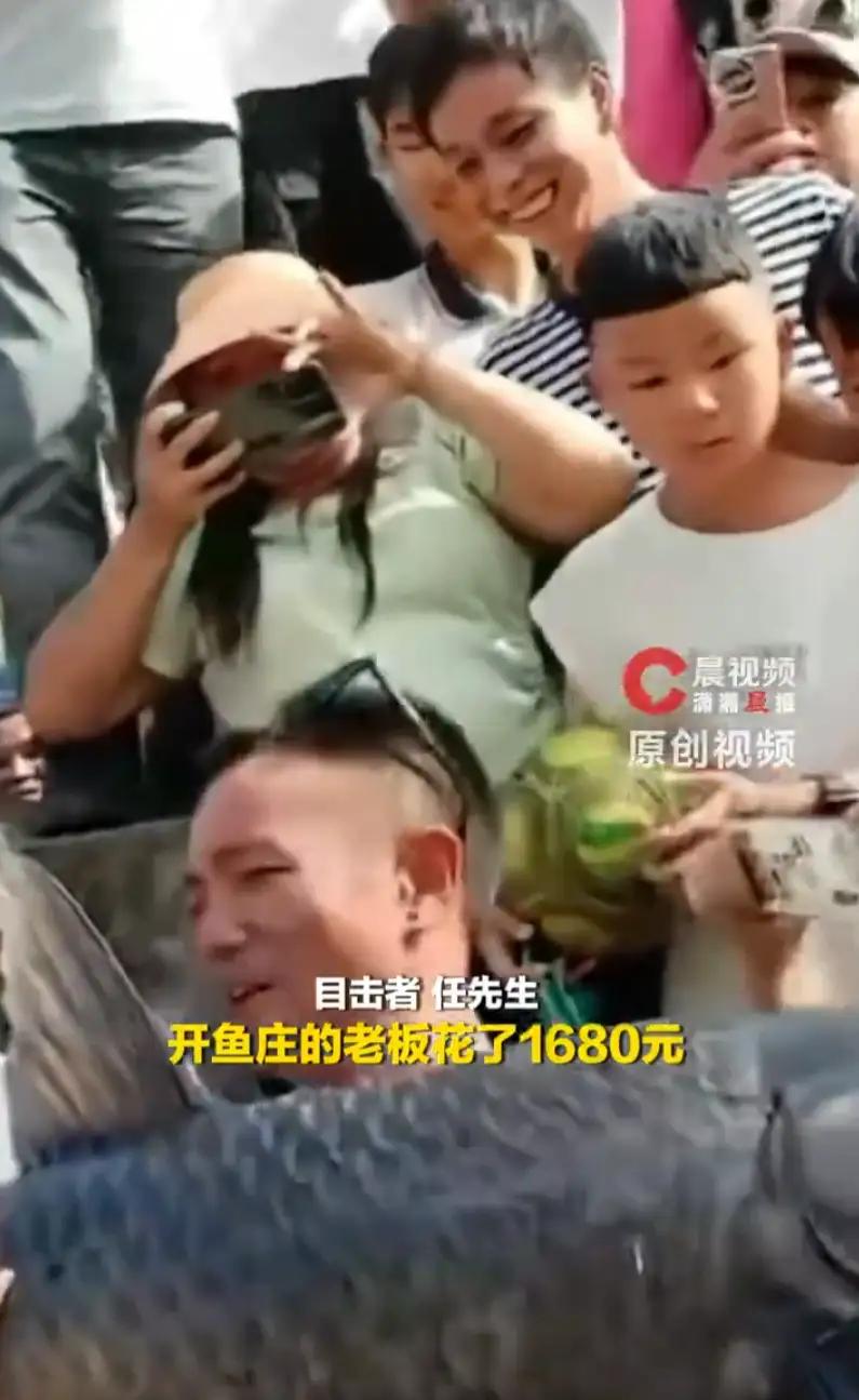 贵州遵义，一位大爷在普通池塘中了一条五十多斤的巨型青鱼，硬生生拉锯缠斗五个多小时