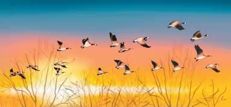 上联：晨钟绕梁雁南飞
下联：晚笛萦窗念故园