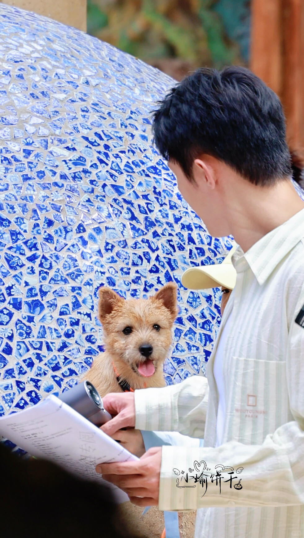黄景瑜的小狗也要饭撒谁能懂做黄景瑜的粉丝好幸福🥰跟他说杀青时他的狗也跟着他一起