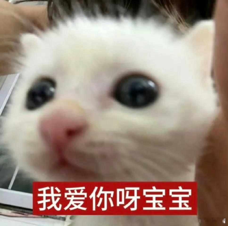 曝明星半夜偷偷出门谈恋爱论明星没有事业心只想谈恋爱对粉丝的创伤有多大？