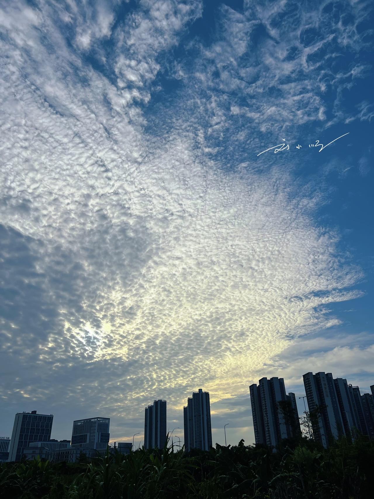 天空出现这样的波浪云，是台风要来的前兆吗？