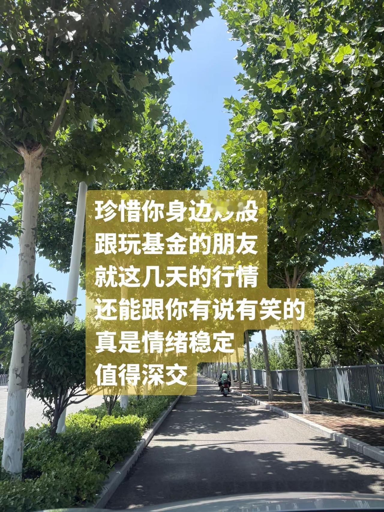 基金 股票真实生活分享
