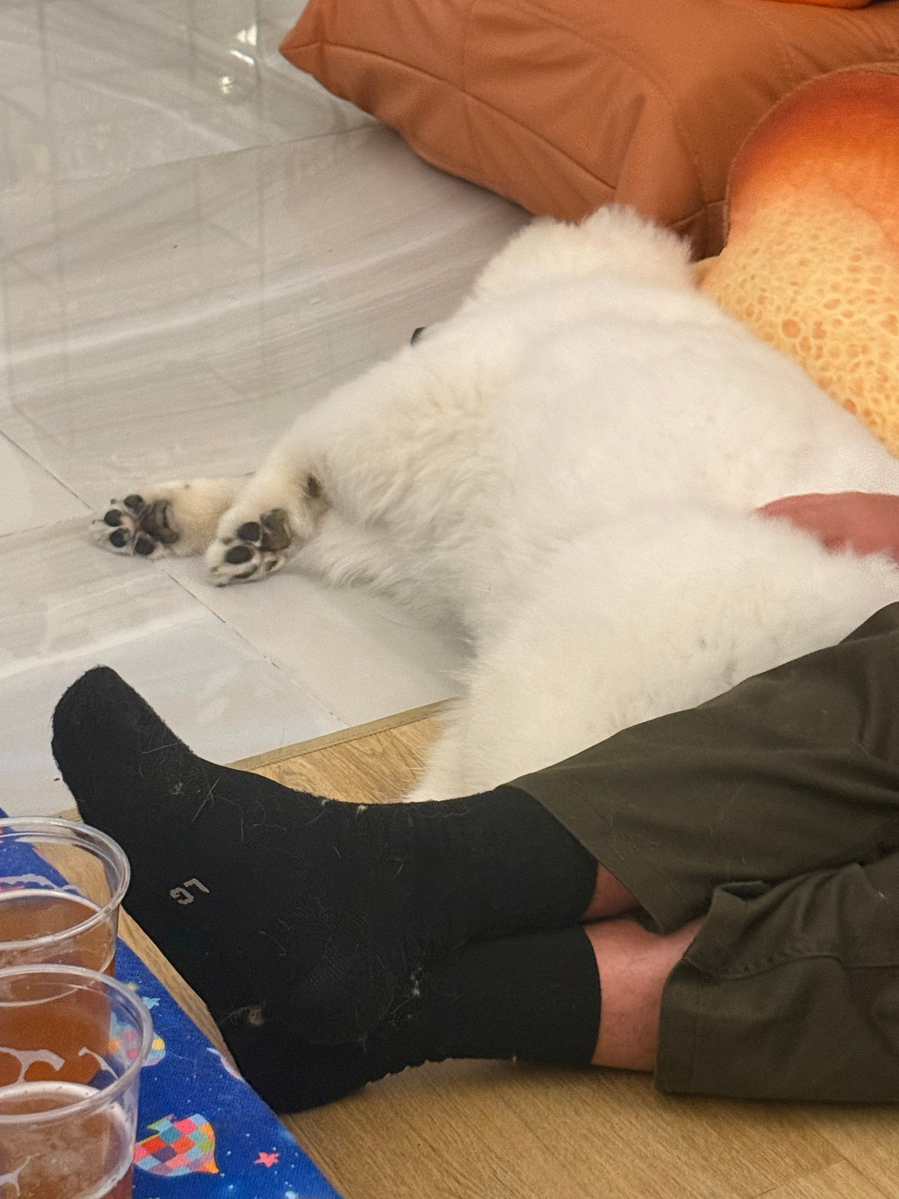 昨天朋友来家里喝酒又给人当奴隶使……必须一刻不停的摸她…… 