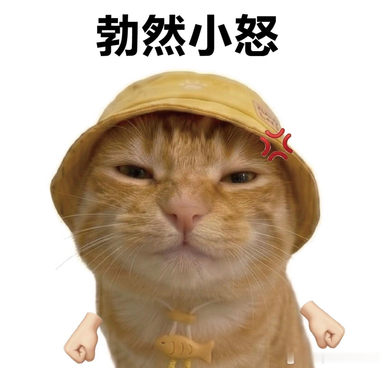 我昨天才刷到喜茶diy，今天就告诉我不能自定义改名字了 