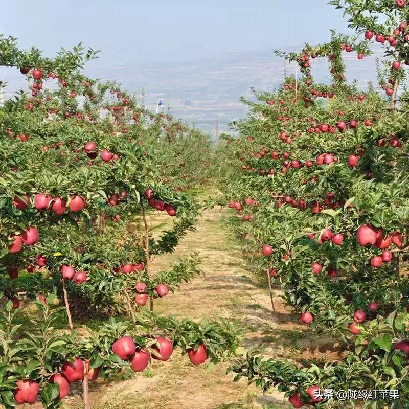 世界如何呈现，取决于你通过怎样的“透镜”去看它。尝试做一枚有温度的透镜：聚焦美好