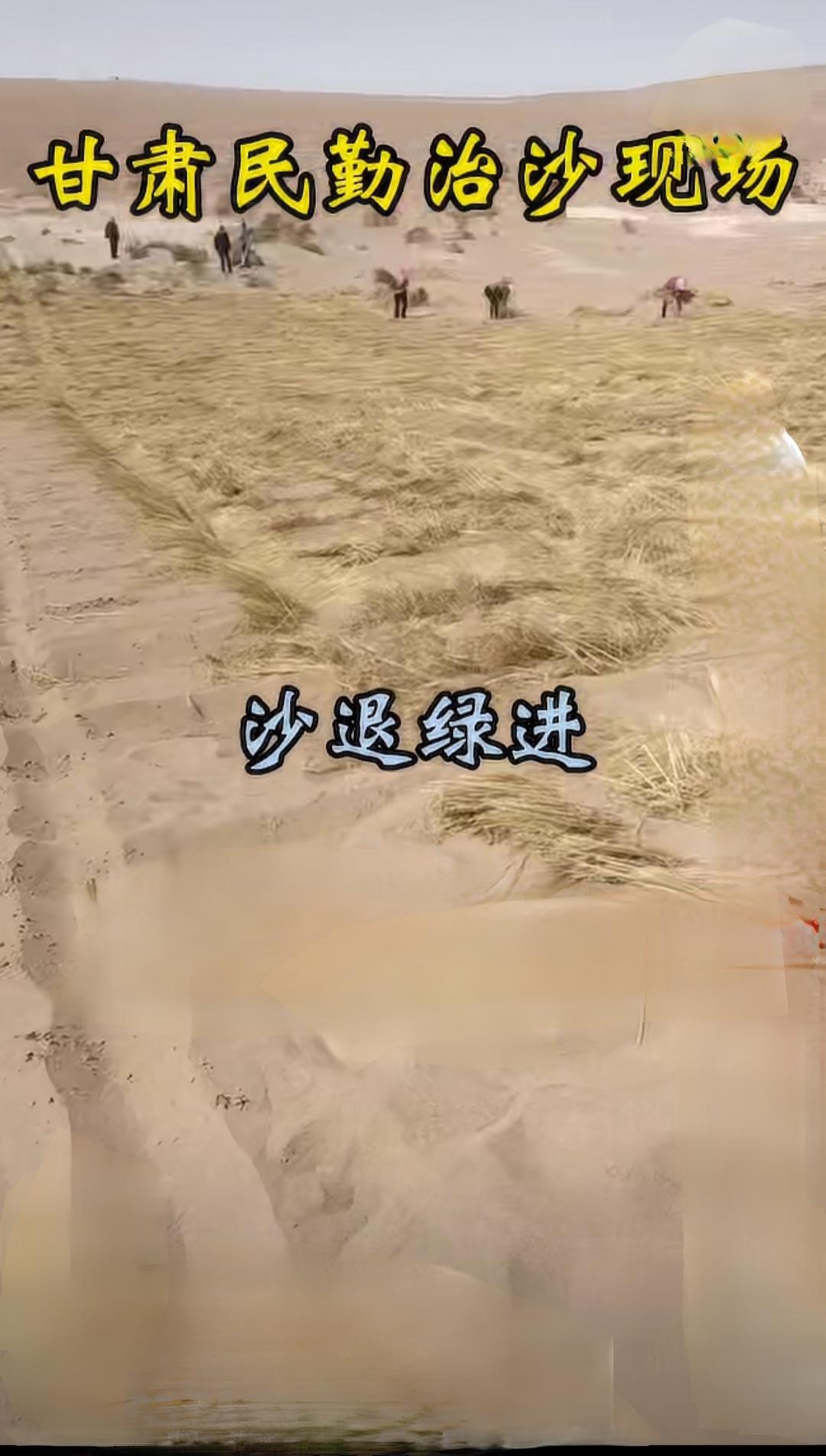 草原的美是治愈系的，清晨的雾色漫过草甸，牛羊在朝阳下漫步，骑马驰骋时能感受到风裹