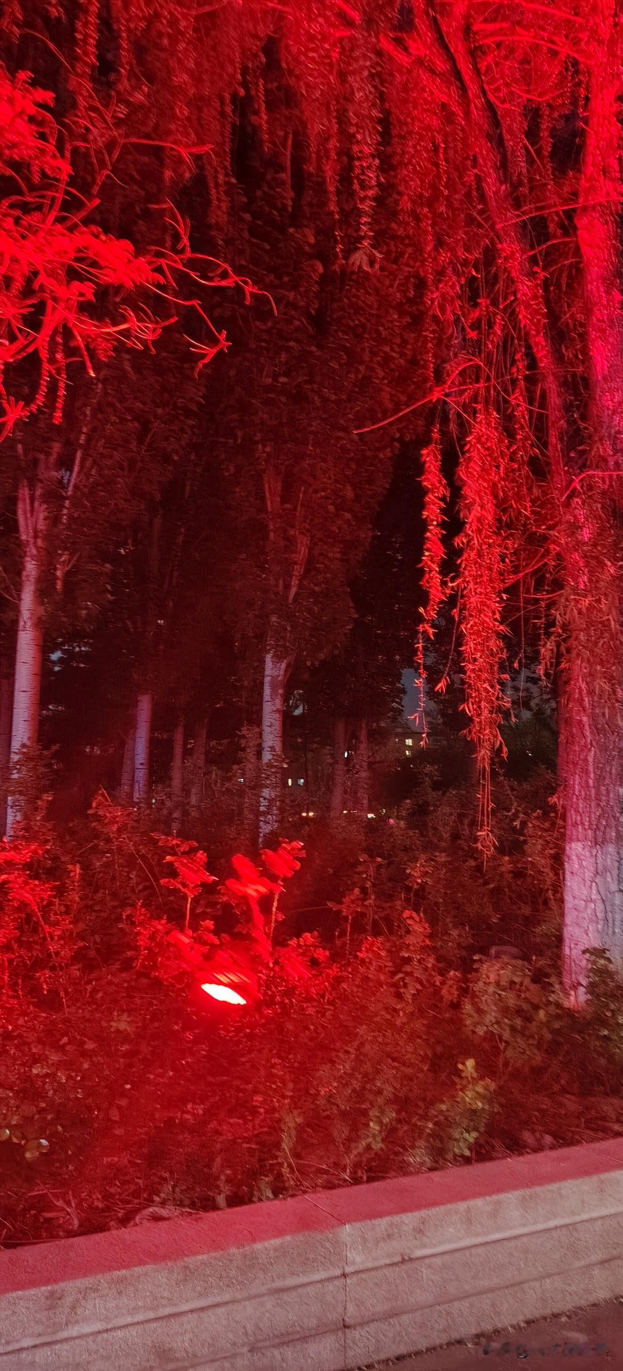 分享一张你拍的城市夜景北京朝阳的夜景🌃还是很漂亮的！