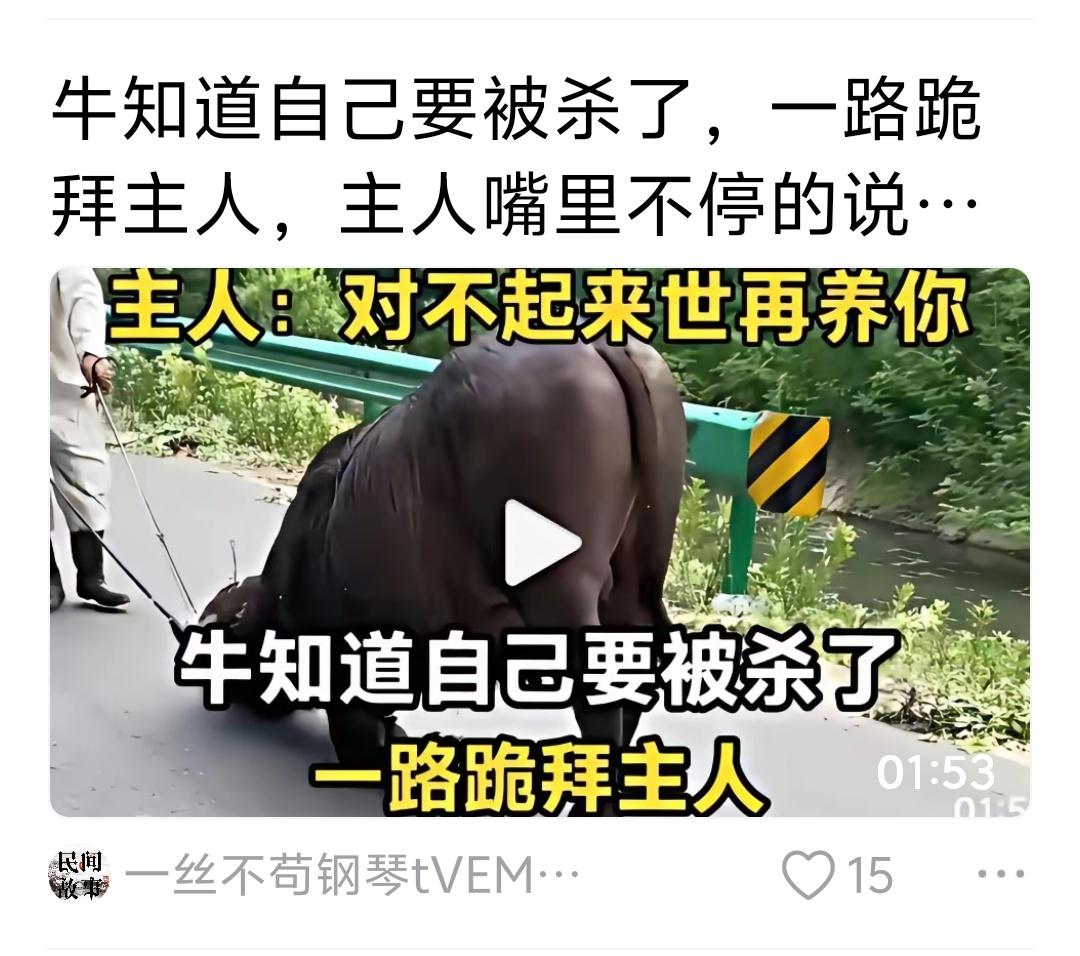 养牛前，说好的是为了发展生产力，为何养大了要杀牛？
其实这背后藏着过去农耕时代最
