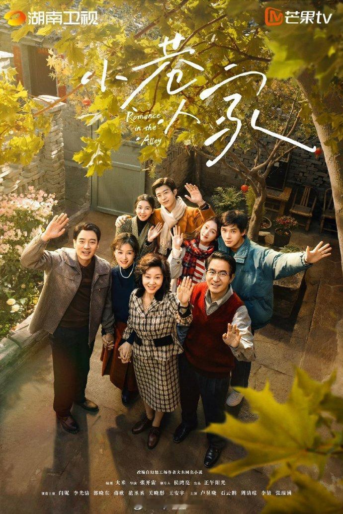 芒果tv没有养老剧？2025华策-丁梓光-国色芳华2024正午-张开宙-小巷人家