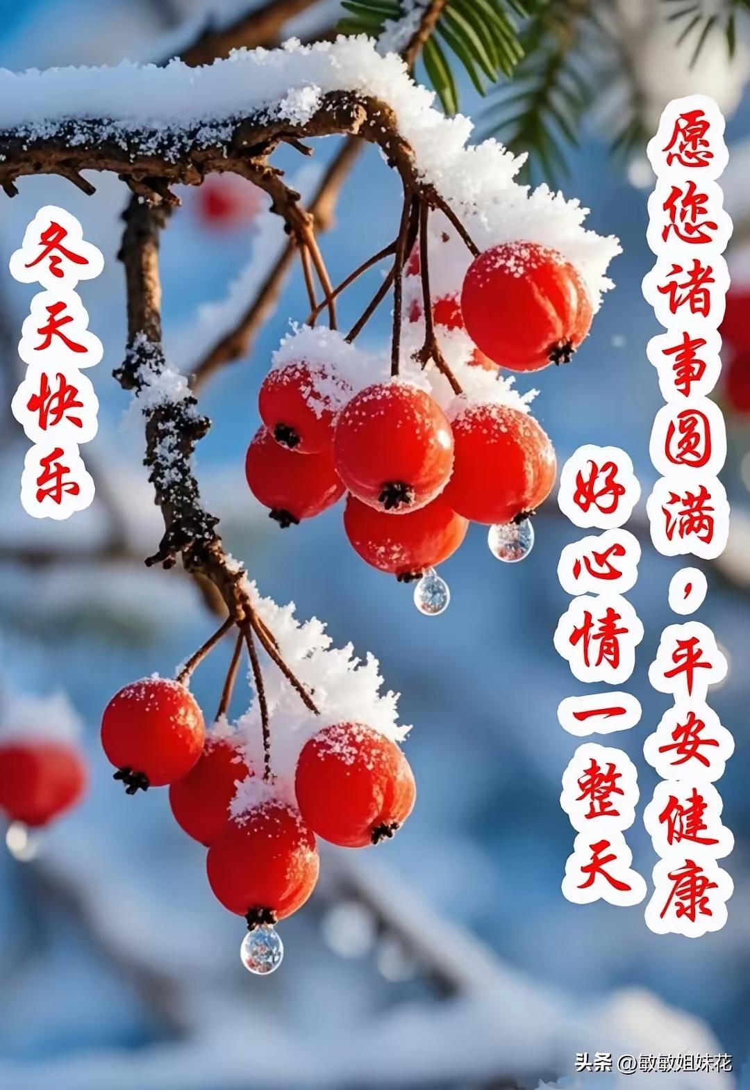 2026年1月16日，周五早上好！愿我们事事顺遂如意！平安喜乐、幸福安康、开心快