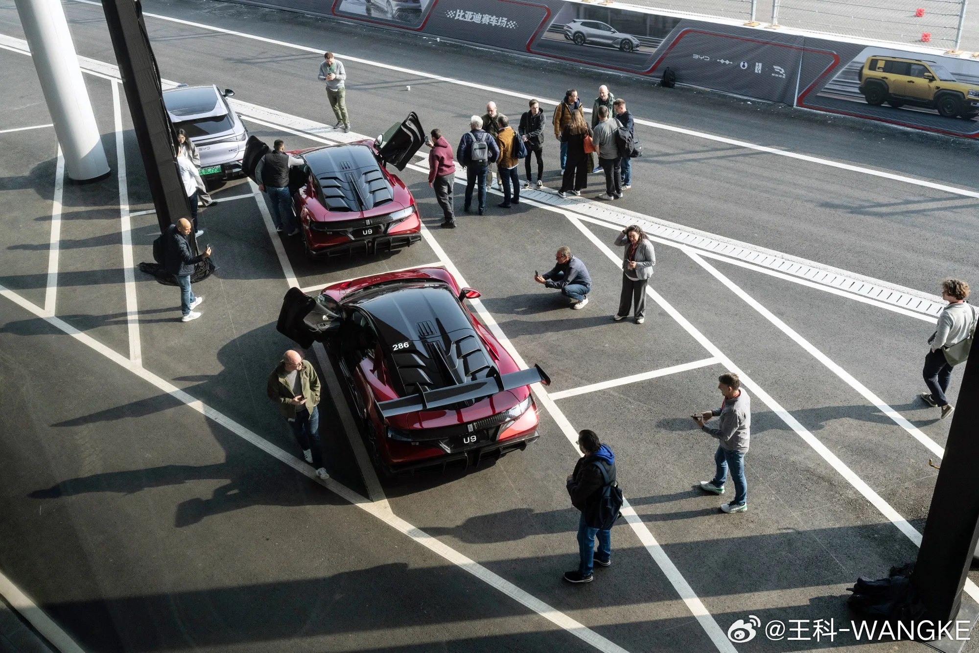 真的来了！有消息称，比亚迪正在研究进军 F1、WEC 世界耐力锦标赛（大家熟知的