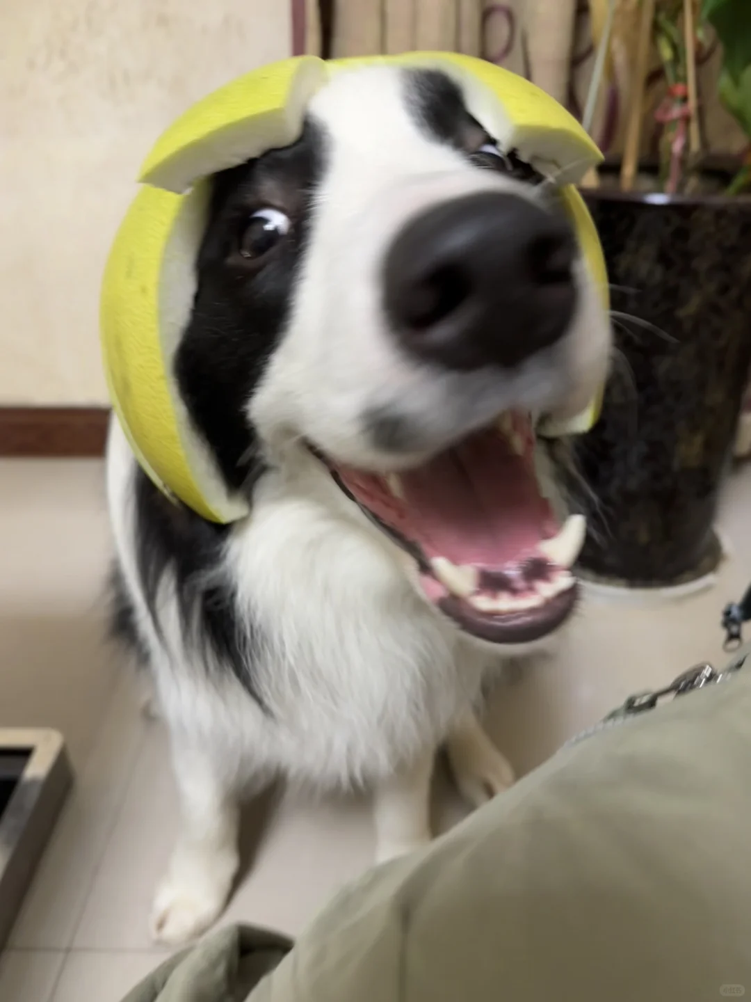 妈你看我高兴吗