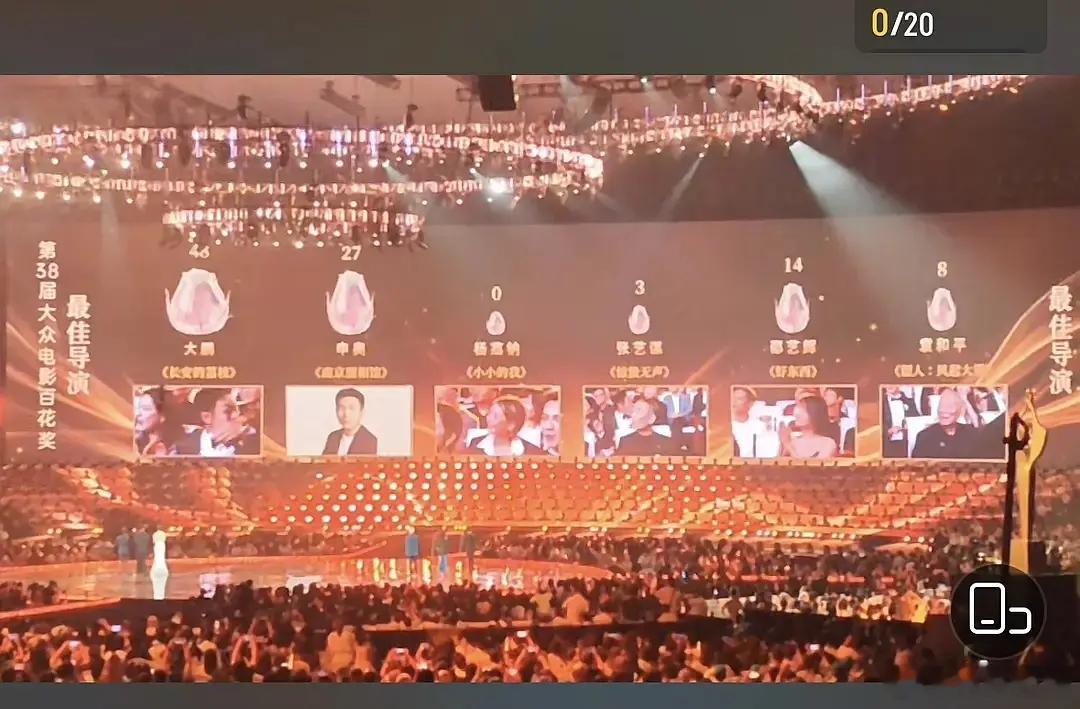 导演票数 