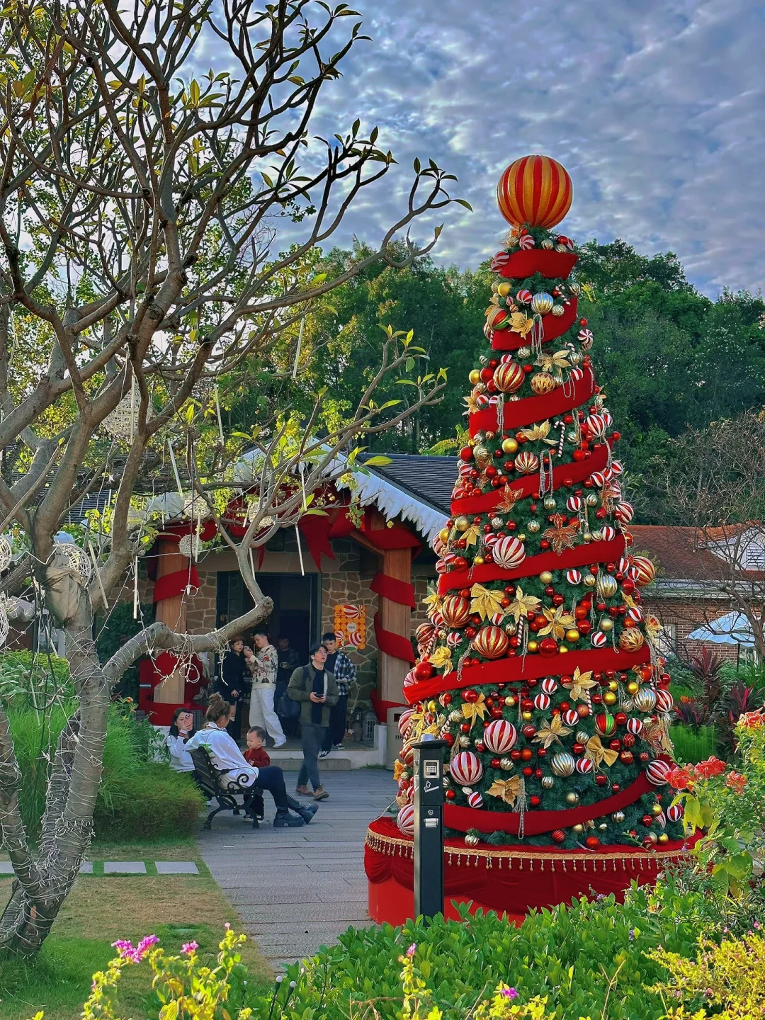 在深圳🎄带娃感受圣诞节氛围推荐这些地方