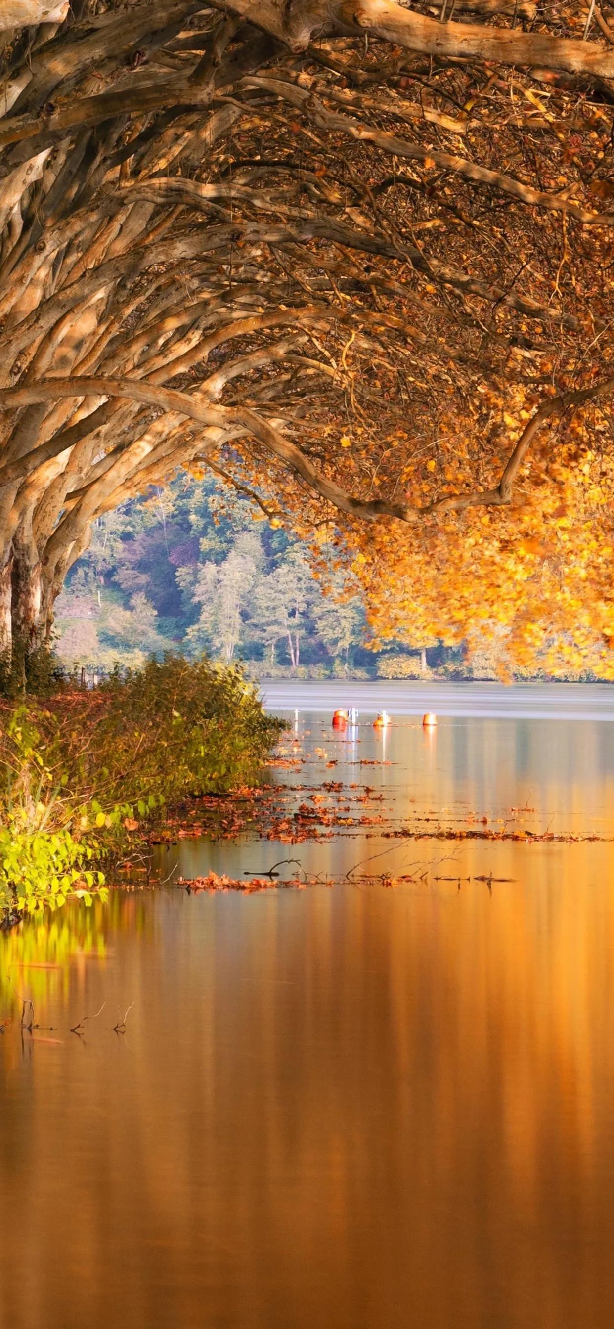 从小养成一个勤俭节约的习惯，花钱不大手大脚就行，该用的就用，不浪费。人本身就是贪