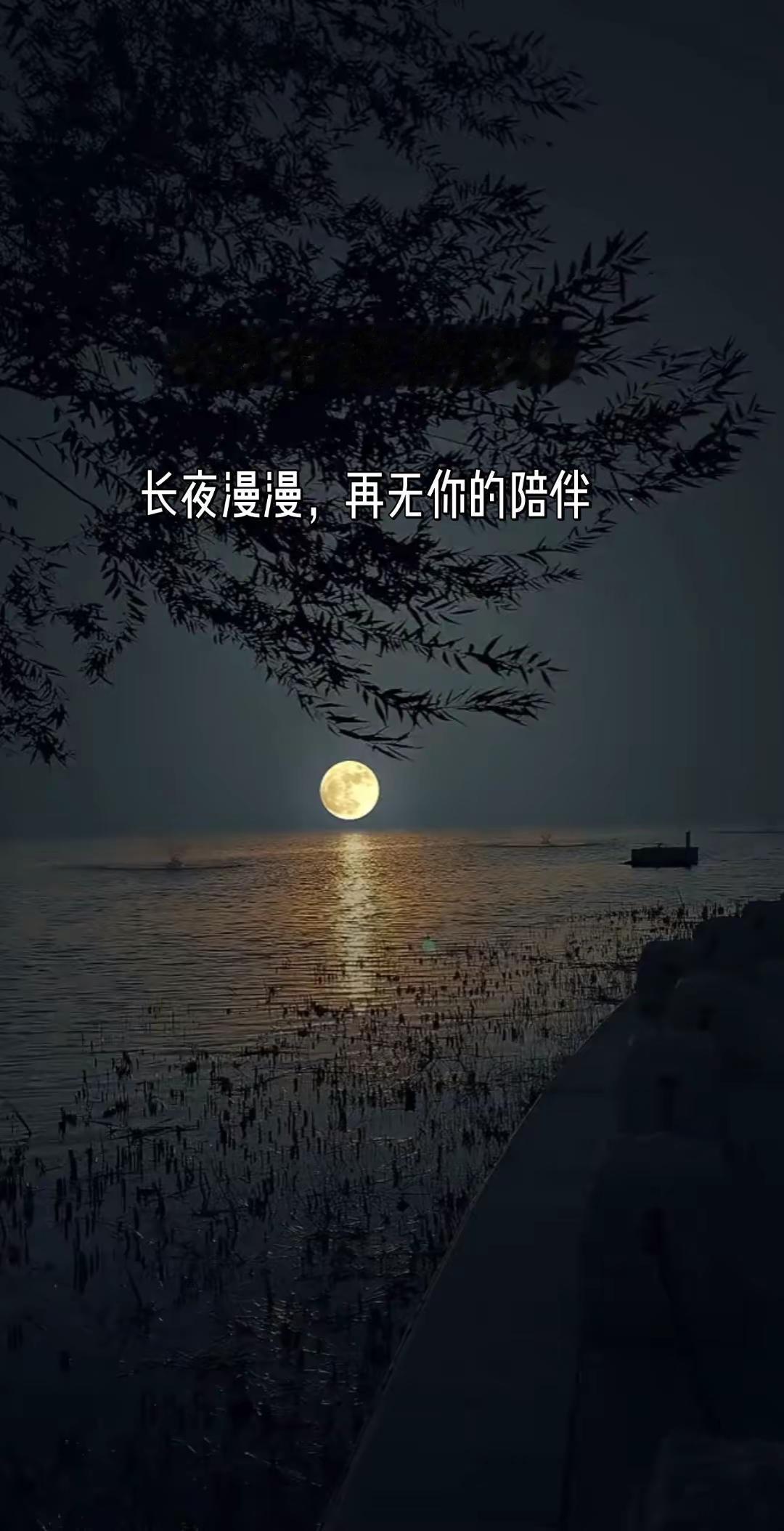 月色下的孤寂，你不在身边，却一直在心里，距离隔的住相见，却隔不住翻涌的想念，漫漫