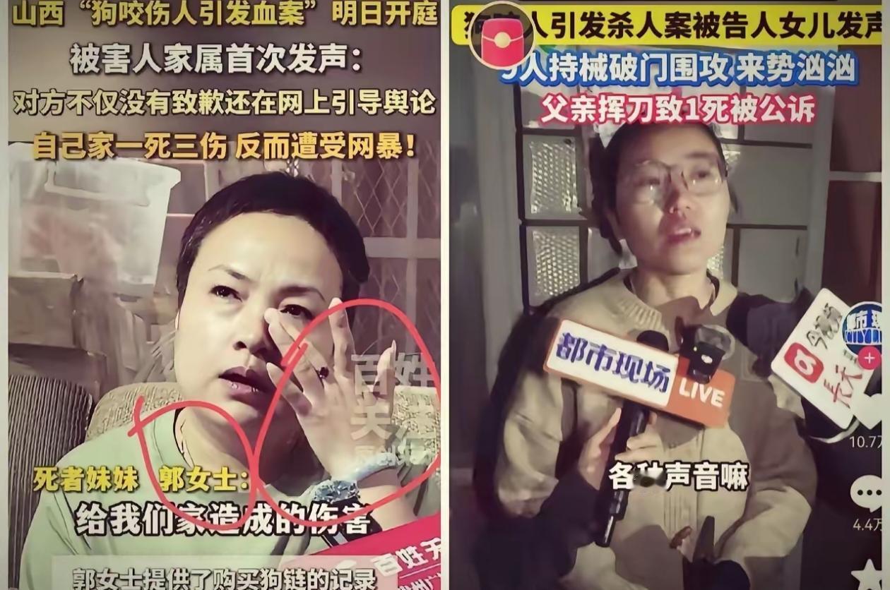 山西狗咬人这件事儿，
最让人不能接受的就是原告律师了，明明9个人到申某家找事儿，