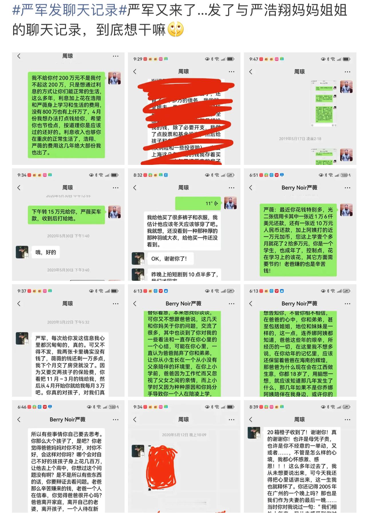 严军发聊天记录他们这聊天记录字太多了这个瓜有没有课代表说一个简洁的总结严军发聊天