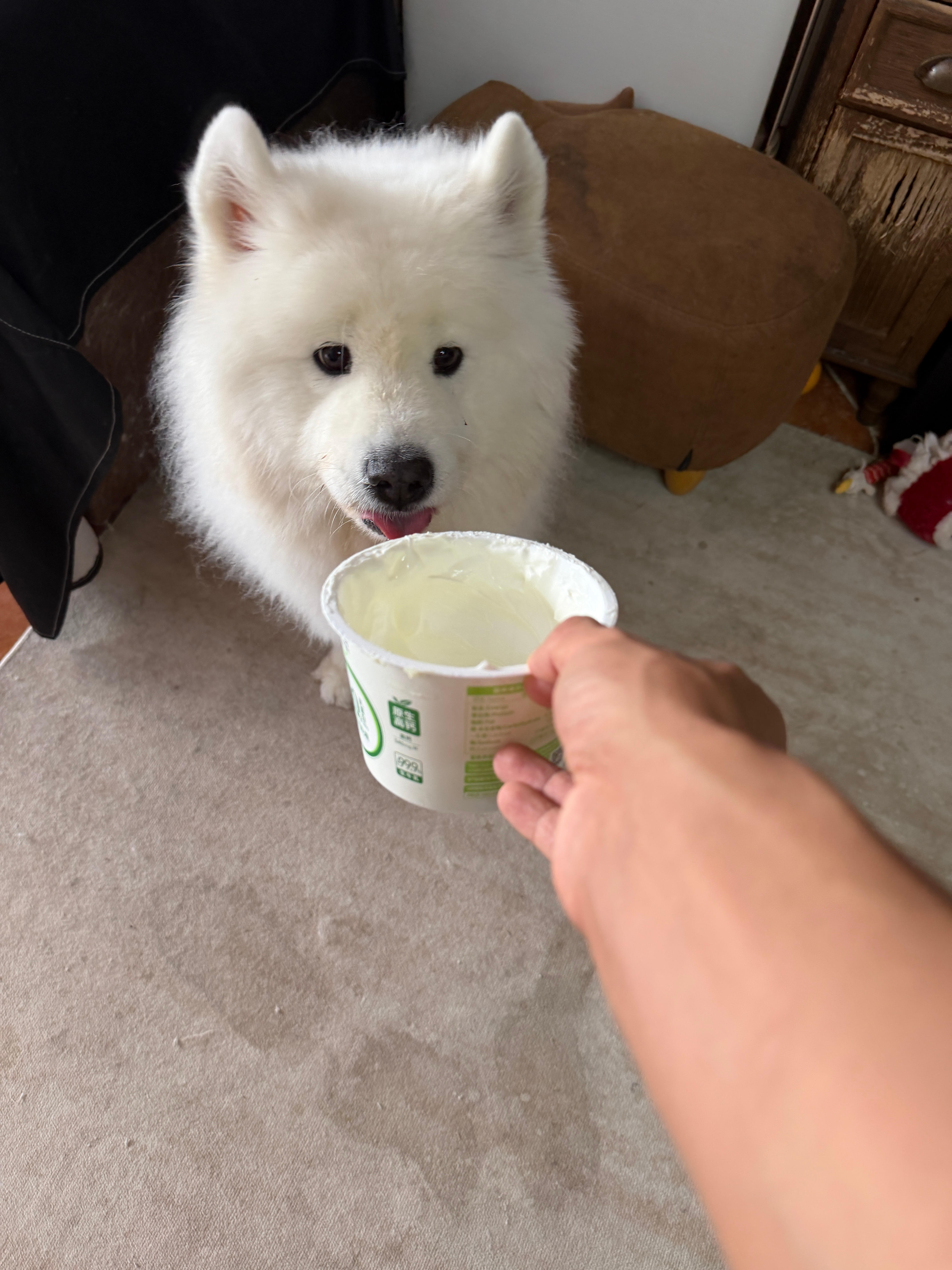 喝完酸奶就开朗了。 