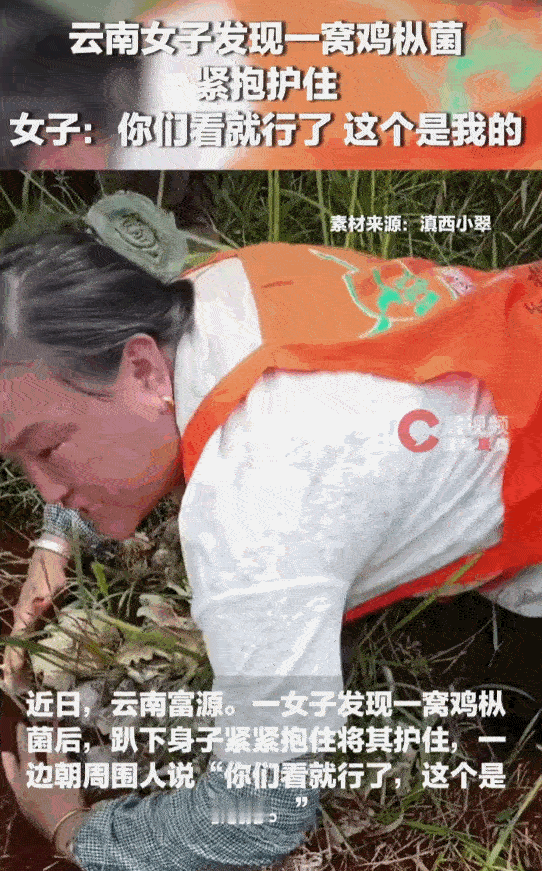 真是自私自利！云南富源的一座山上，一位大姐在山上采野菌子，冷不丁在草丛深处发现了