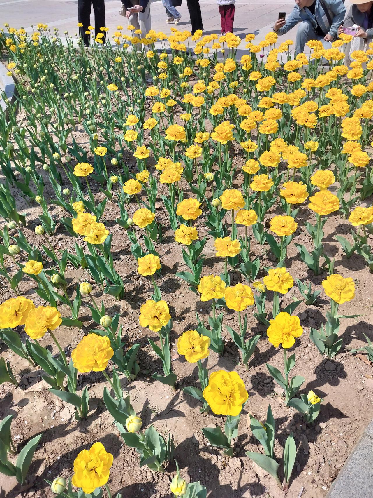 女儿不慎将妈妈的项链弄丢，妈妈气急败坏将女儿书包的东西全部翻出，
包里还有一个玻