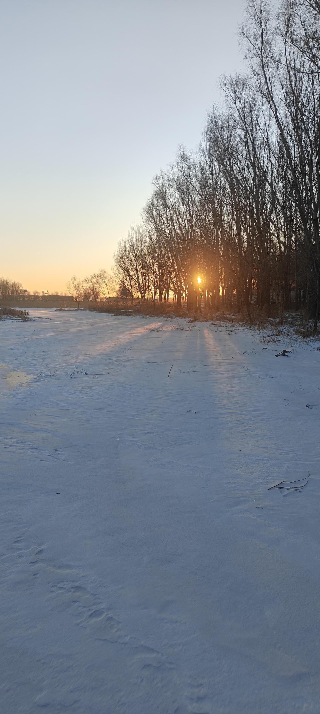请问考公是努力就能考上的吗考公首先必须要努力学习，没有捷径可走。