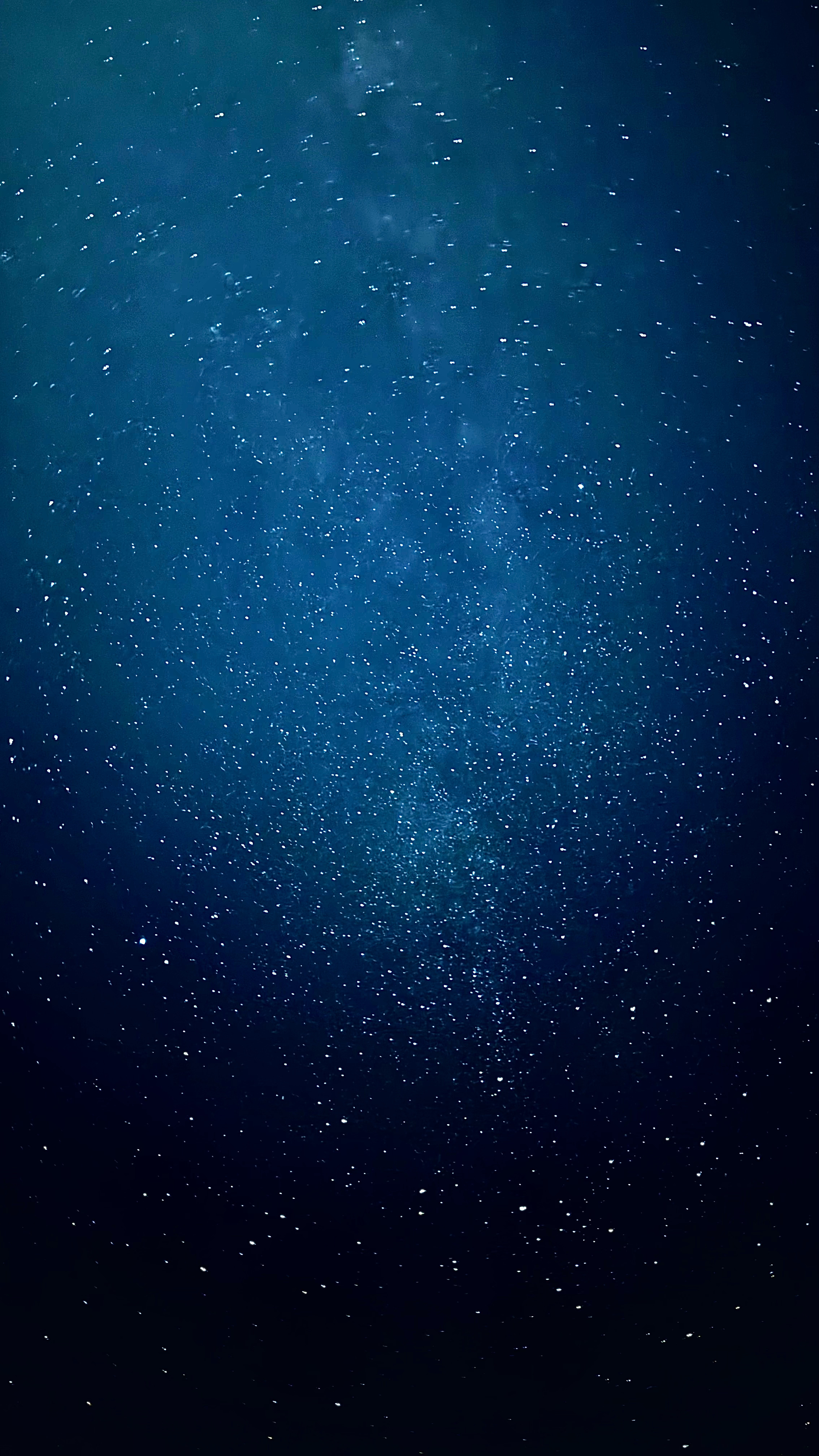 我们拥有着一整片的浩瀚星空和花海🌌💐我的玩伴总说想看装满星星的宇宙 玉溪·温