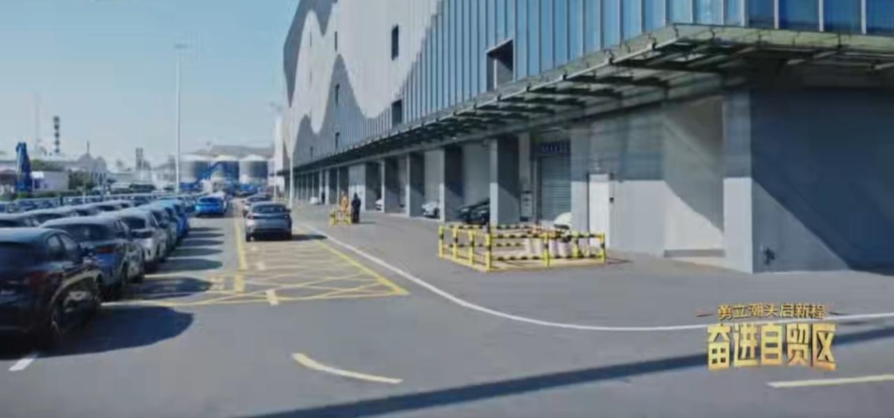 潮涌江海，自贸热土跃动发展脉搏。这里矗立着全球集约化的产业地标，车流穿梭间是开放