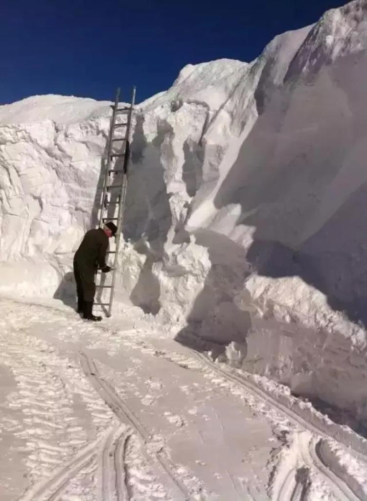 近日俄罗斯遭暴雪猛烈侵袭，城市银装素裹却也危机四伏。积雪厚达一定程度，有人竟无奈