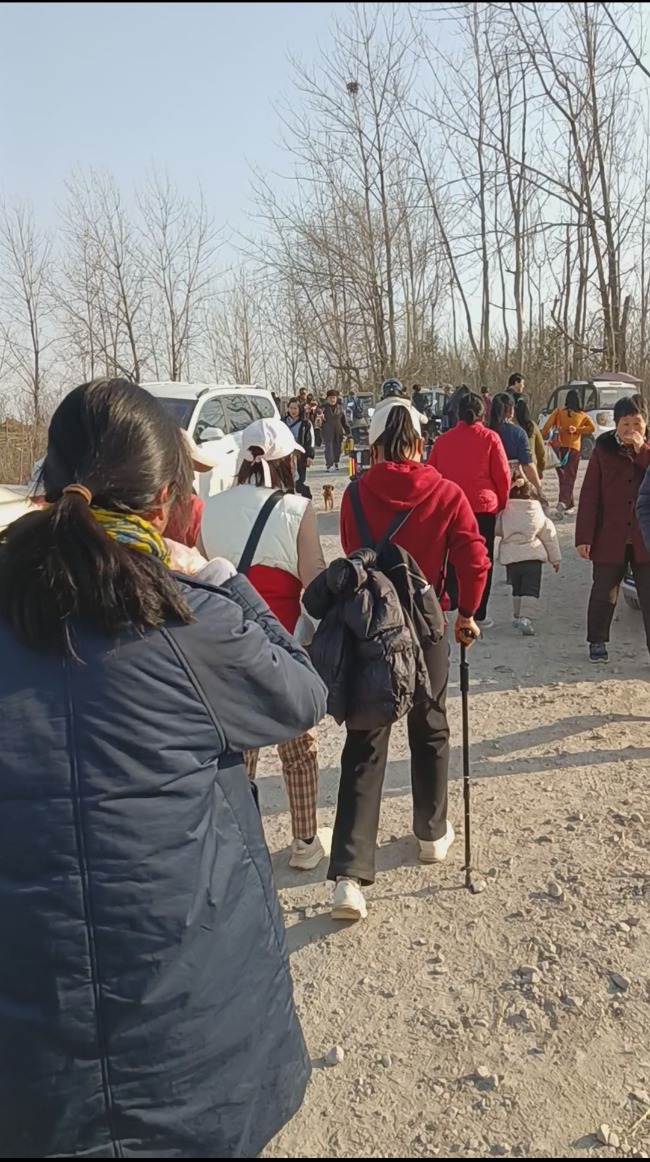 春申君墓旁泉眼“出圈”，引市民游客慕名探访