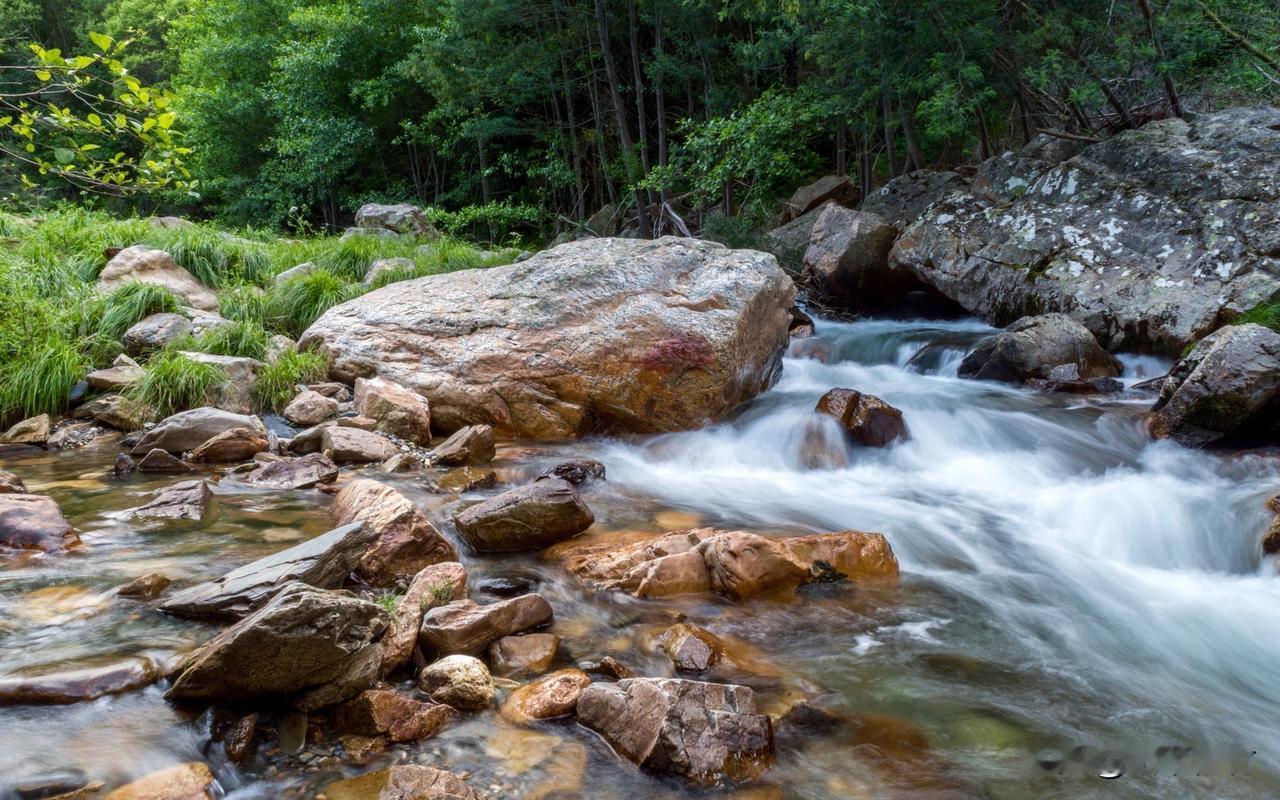 翻看满满当当的手机相册，风景、花草、日常快照数不胜数，其中最让我珍视的，是一次远