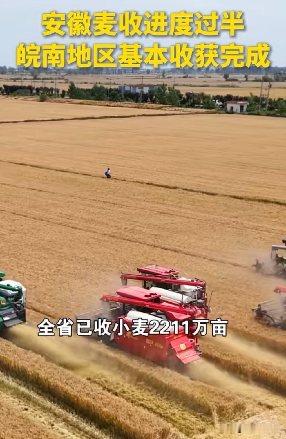 安徽省麦收赶上晴好天气，全省麦收已经过半，基本没有受到天气影响
今年的麦收季，网