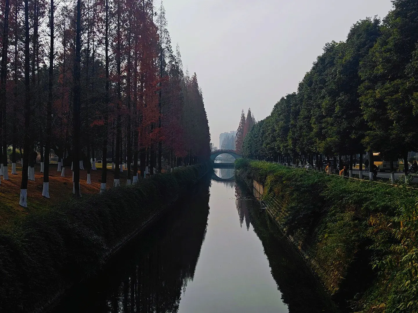 大学校园