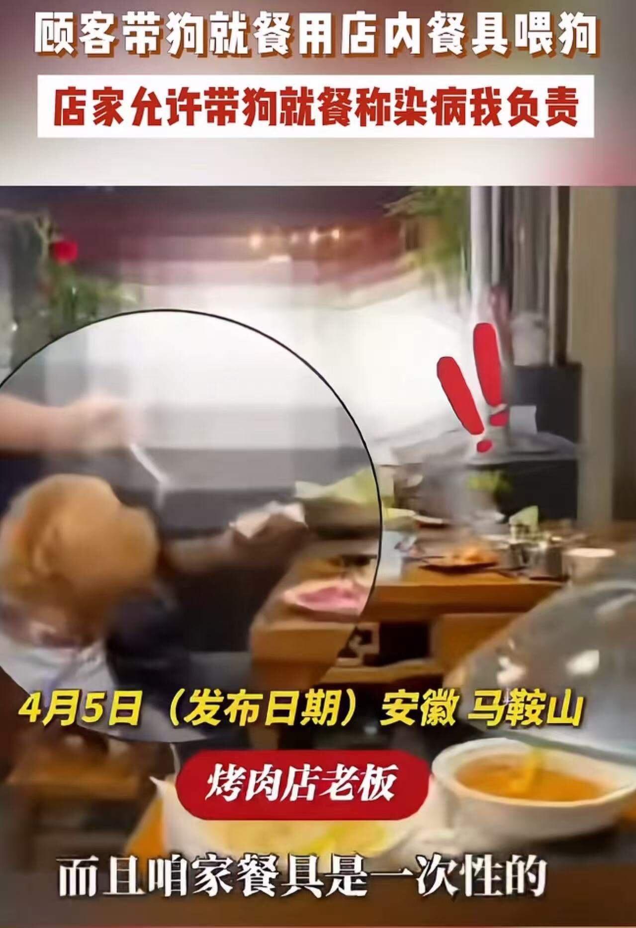 安徽，某烤肉店内顾客带狗吃饭，且用筷子夹食物喂狗，店员完全不阻拦！有人质疑不卫生