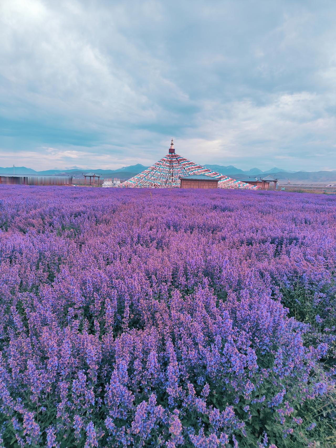 甘南旅游！