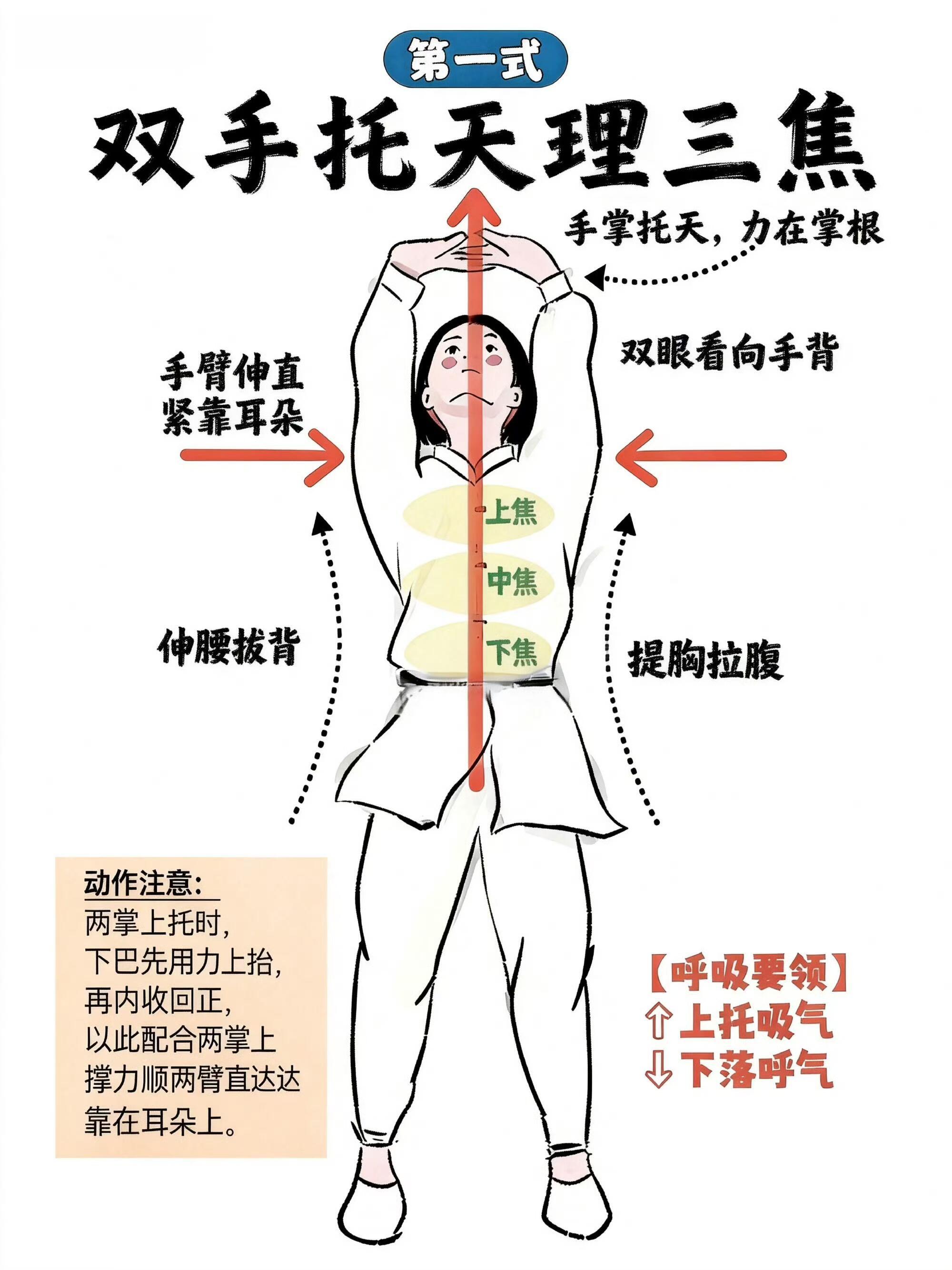 把八段锦动作细节讲透，大家好好学习！国医的精诚力量