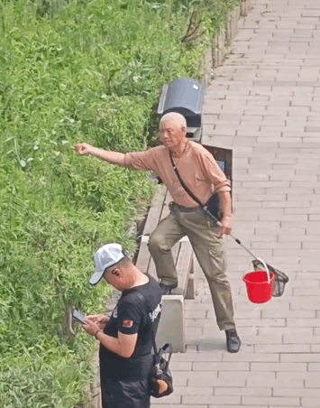【蝴蝶为啥追着纸片飞？】最近，一段“遛蝴蝶”的视频火了！只见一位大爷挥着绑了白纸