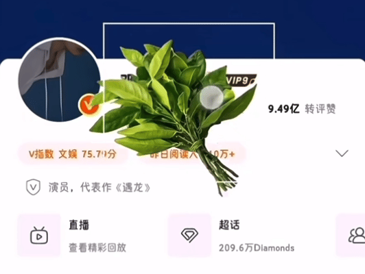 当过邓为的粉丝确实是一件光荣的事情，但是，看了想给邓为去去晦气的程度 ​​​