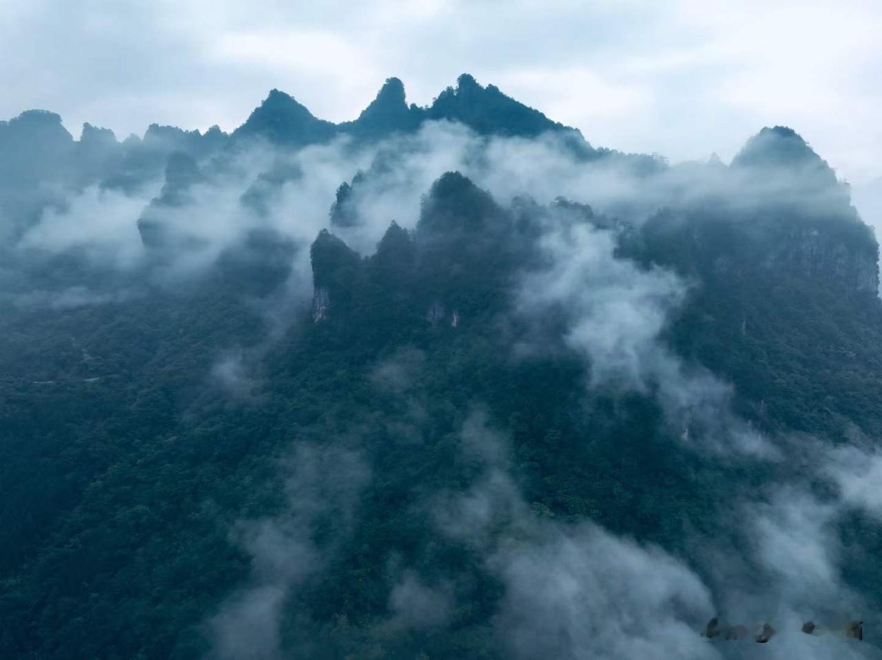 【巴中·光雾山】光雾山的云雾，是大自然写给天空的情书，置身云海，仿佛走进了水墨画